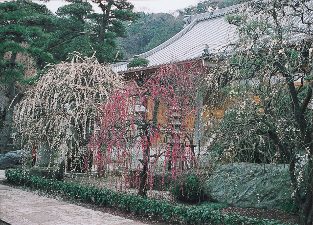 常立寺